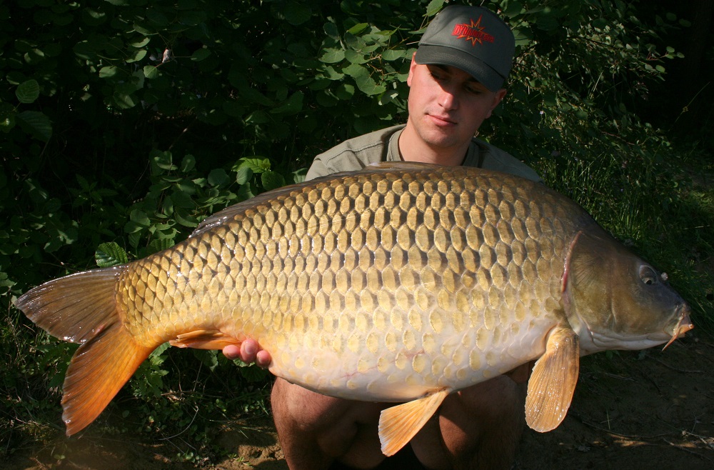 Carp south african common fishing africa catching angling catch big tips methods conventional large caught conventionally way easy information fishthesea