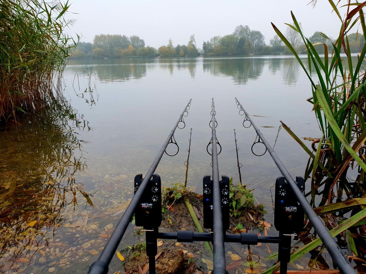 Mengapa Essen Ikan Mas Terbaik Wajib Dimiliki Pemancing Profesional?