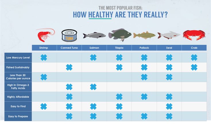 Bagaimana Cara Memilih Essen Ikan Mas Terbaik Berdasarkan Ukuran Ikan dan Kondisi Air?