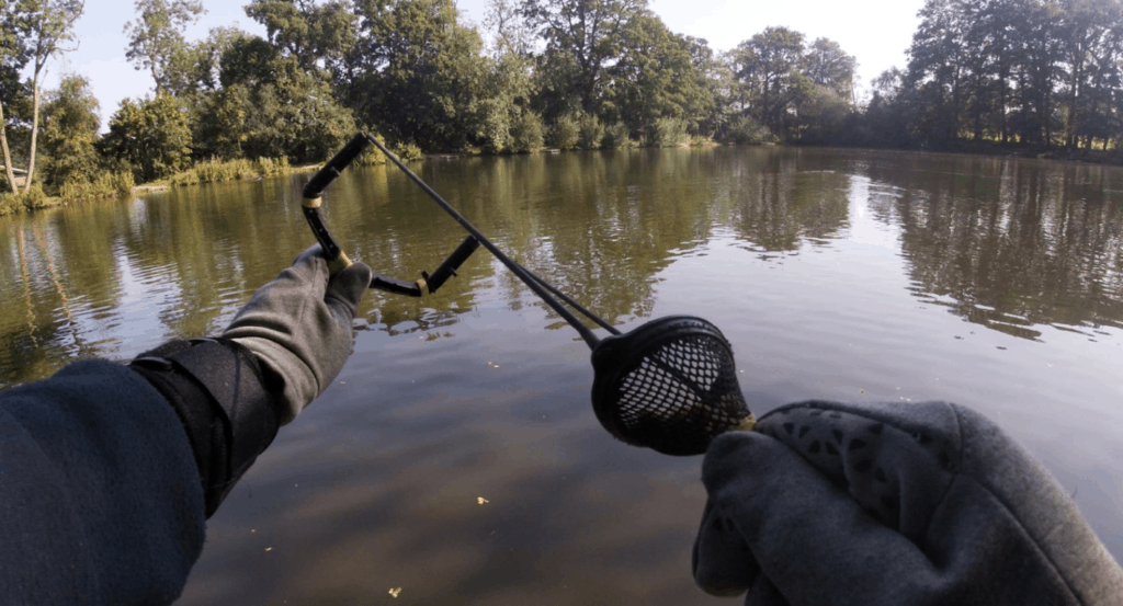 Tips dan Trik Menggunakan Essen Ikan Mas Terbaik untuk Mancing Harian