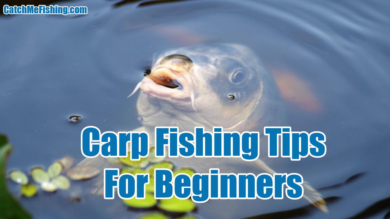 Carp carpfishing catch