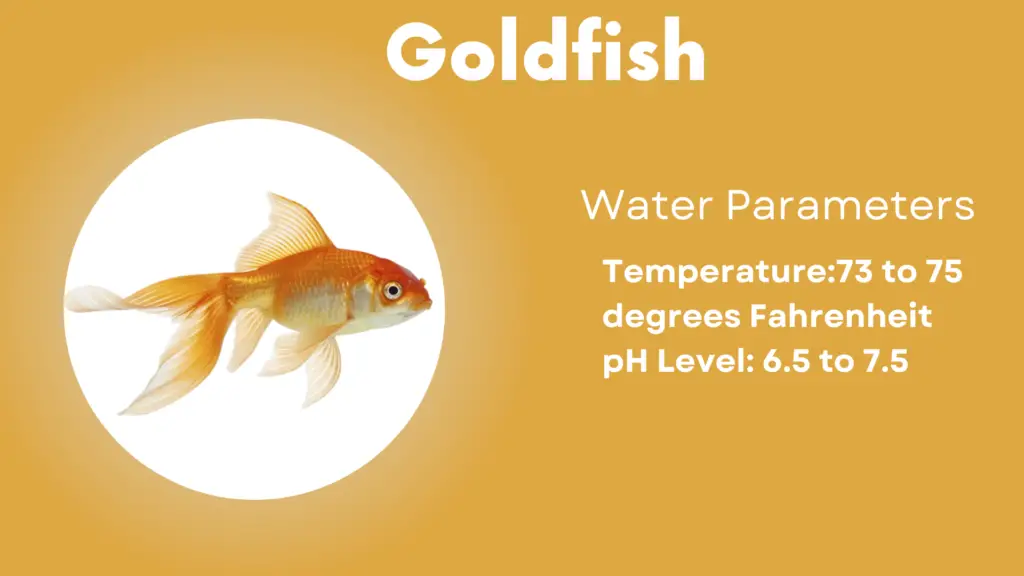 Pond goldfish ponds koi landscaping meerdere watervallen