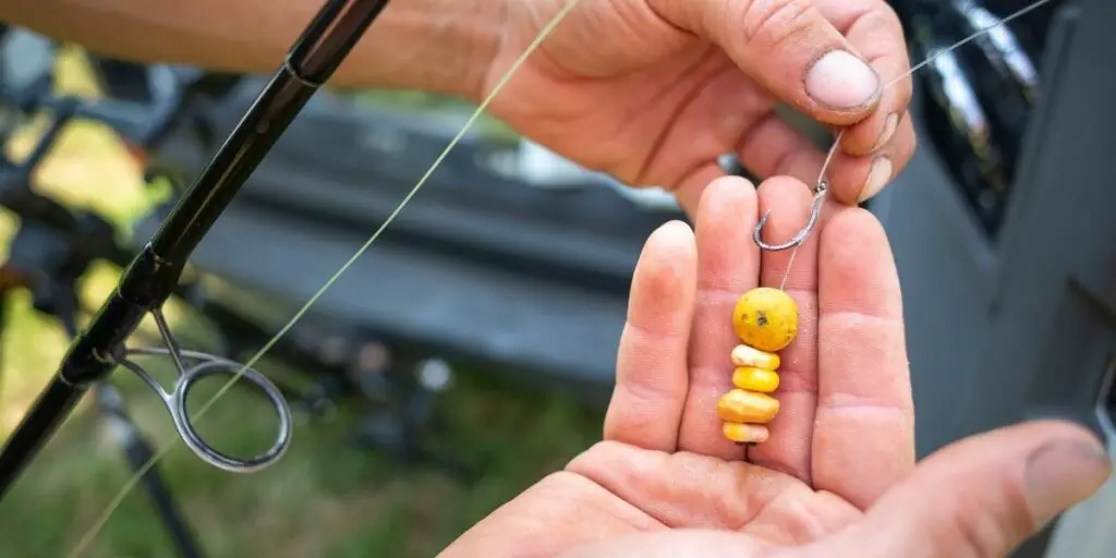 Carp baits bait