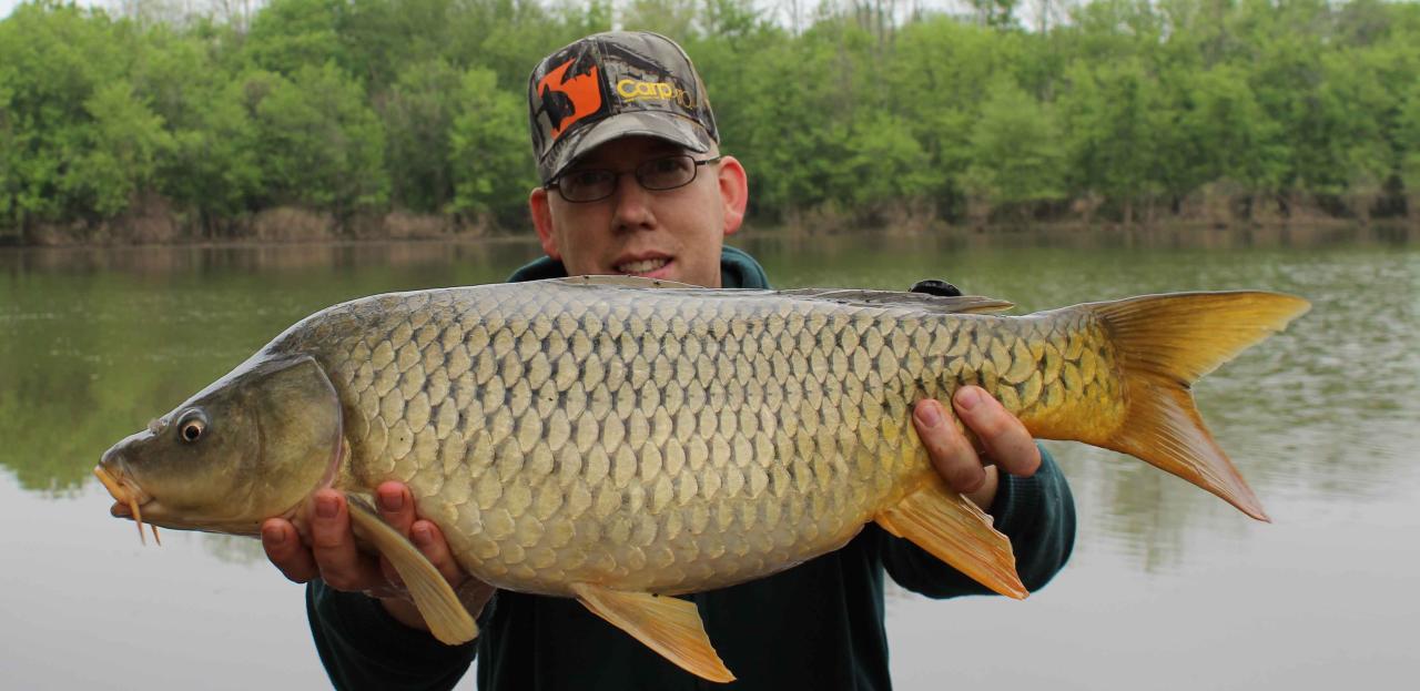 Mengapa Essen Ikan Mas Terbaik Wajib Dimiliki Pemancing?