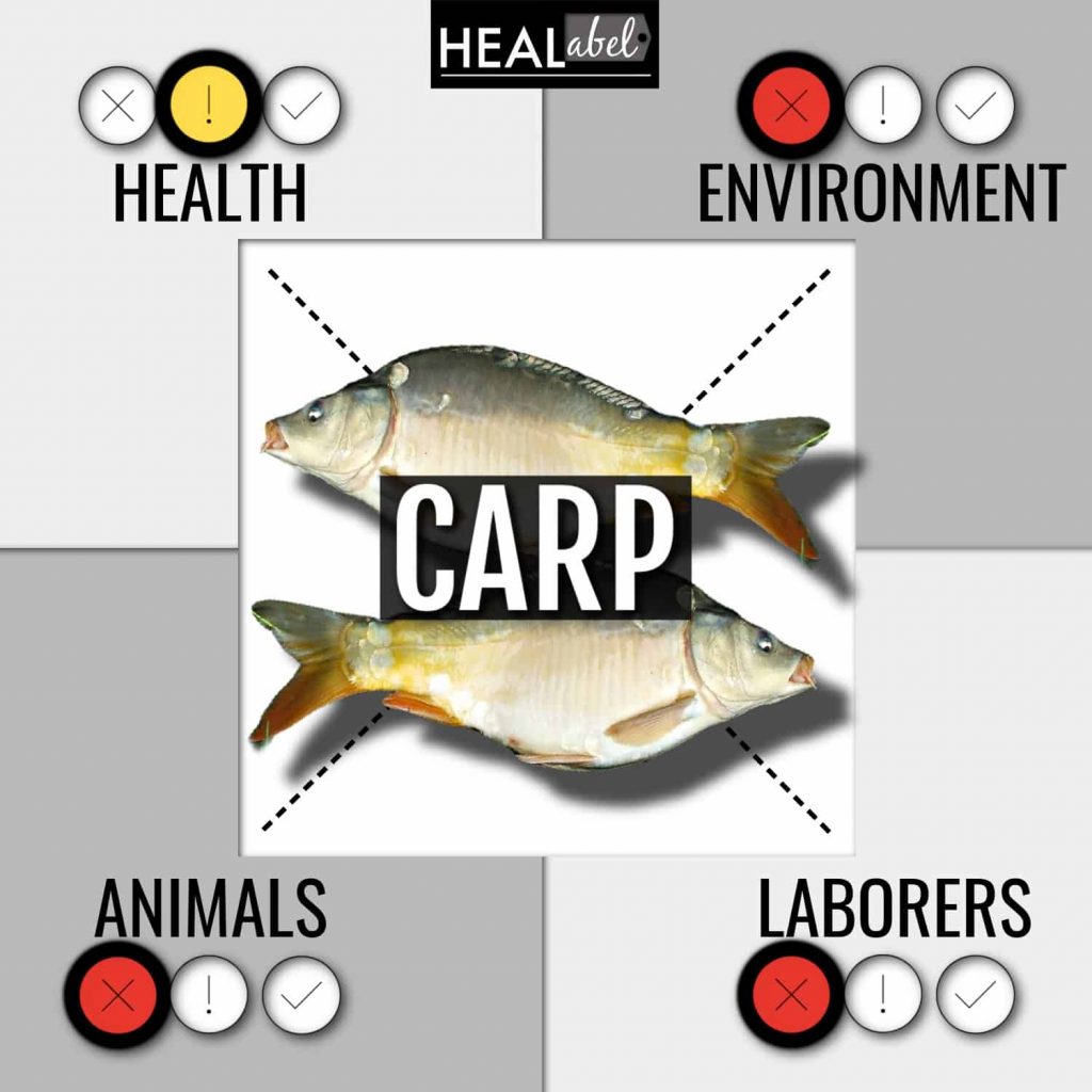 Carp only