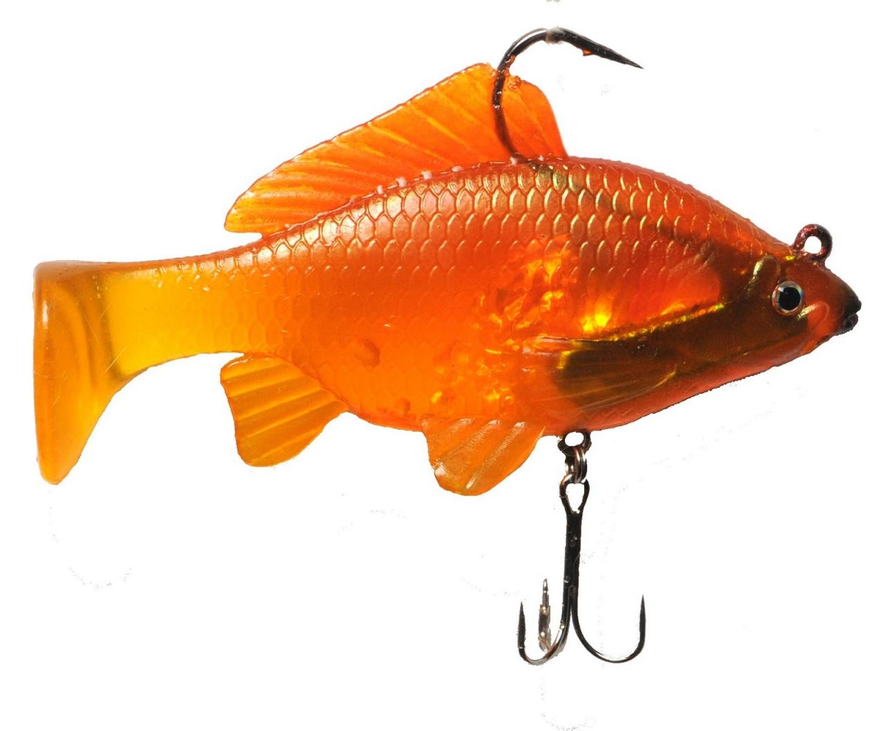 Goldfish types species fish pond guide fantail choose board eye koi bubble