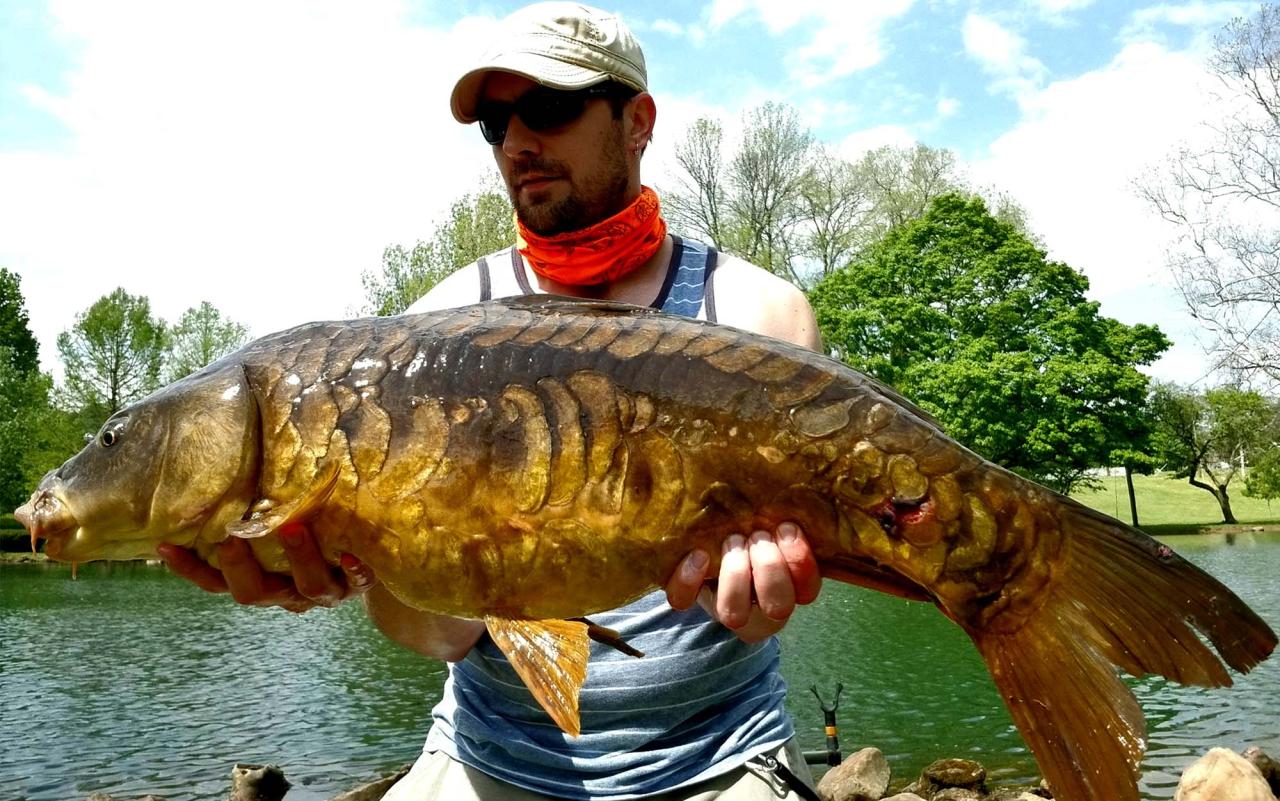 Catch improve rate carp tips experiement lesser swims fished