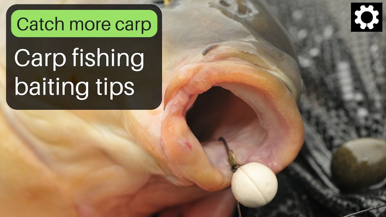 Carp fishing tips baiting