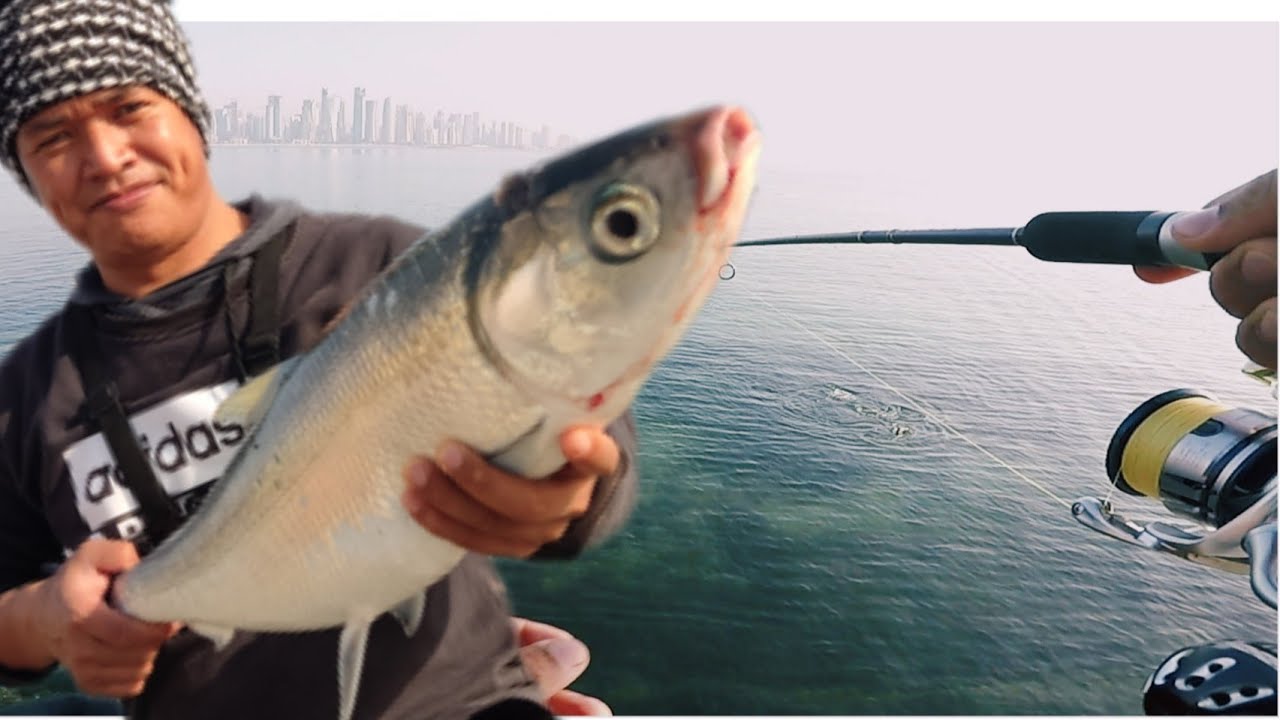 Essen mancing ikan bandeng yang terbukti ampuh