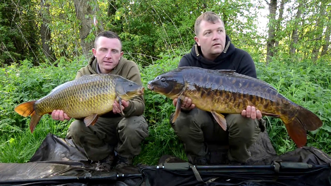 Butler reward carp effort equals brandon fishing