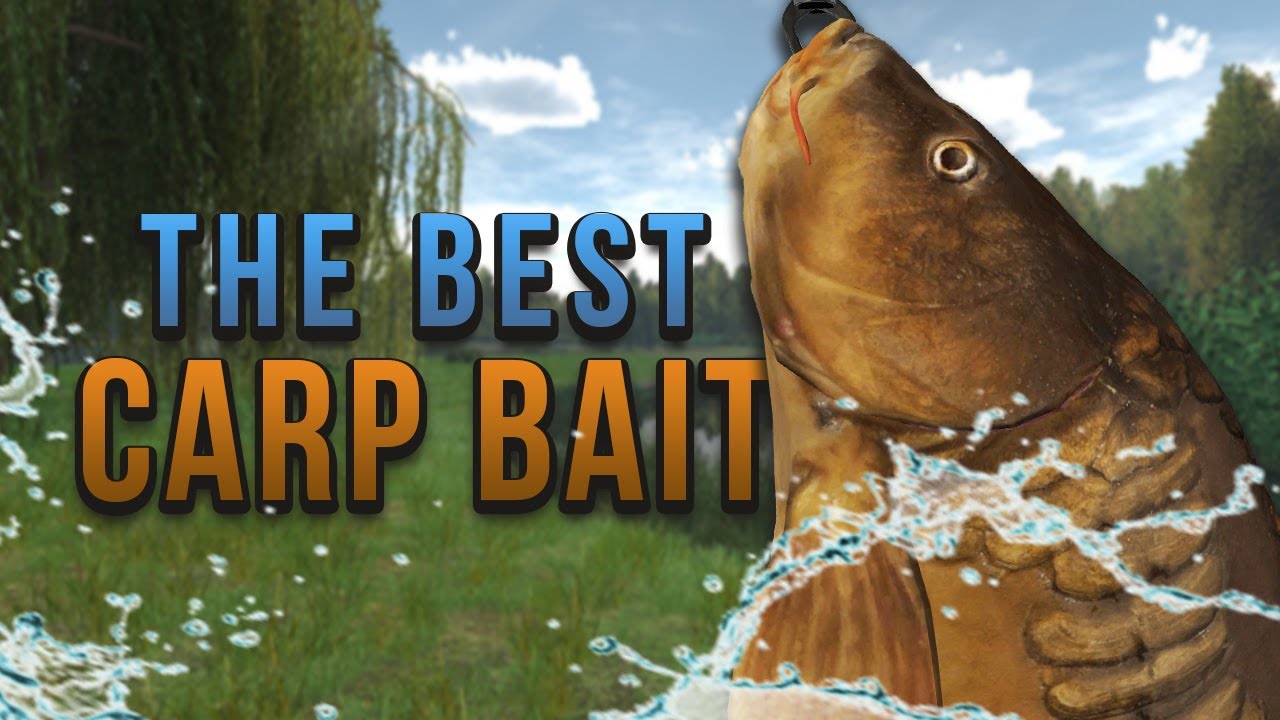 Carp baits