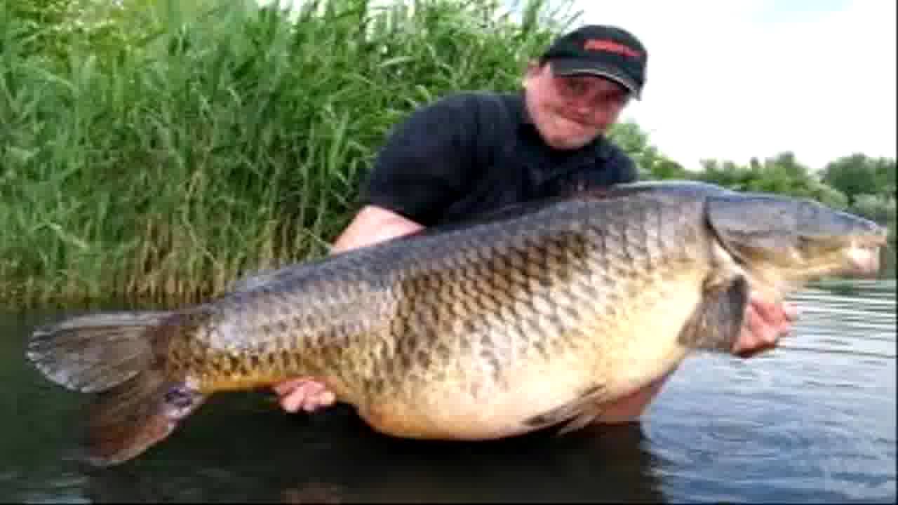 Keunggulan Essen Ikan Mas Terbaik dalam Lomba Mancing