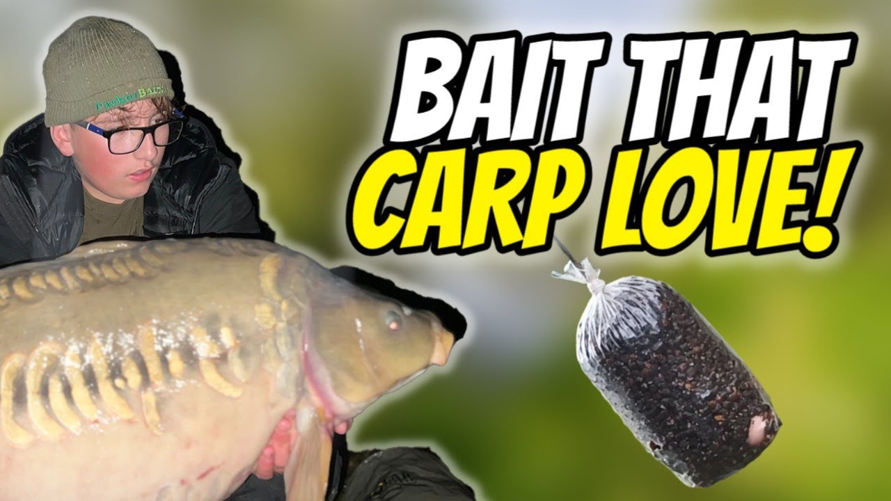 Fishing carp baits bait