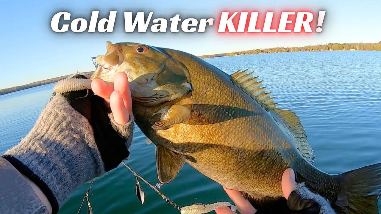 Cold coldwater fishkeepingworld