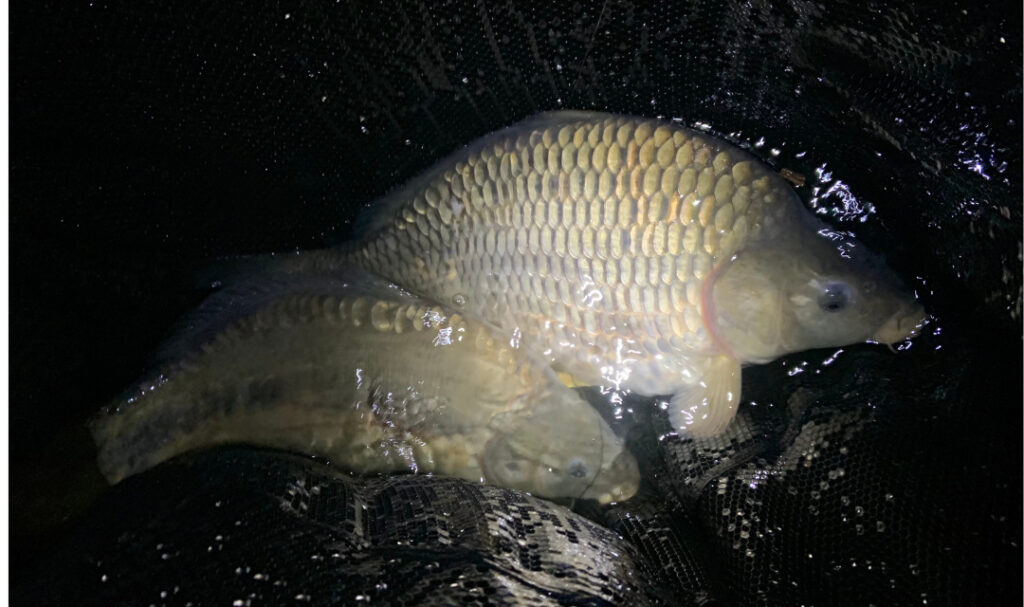 Fishing overnighters tips top carp luke church