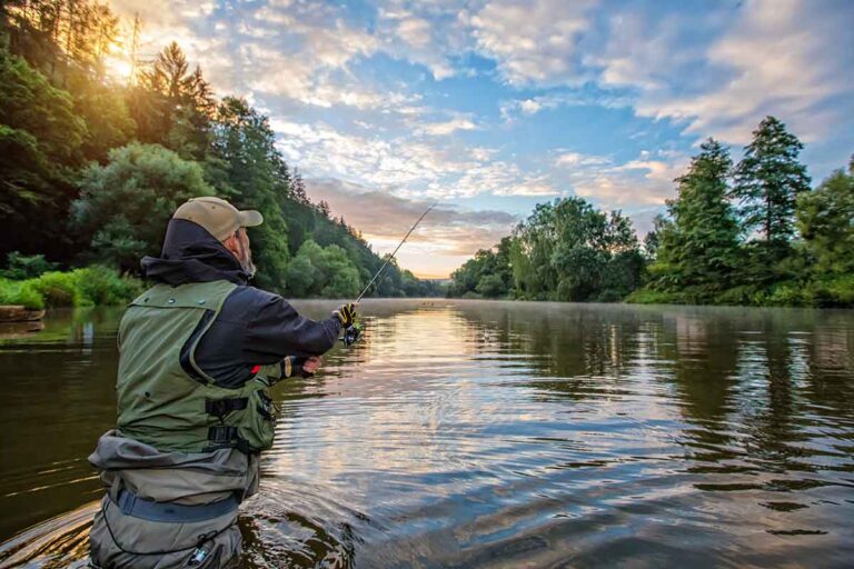 Essen Mancing Ikan Terbaik 2024