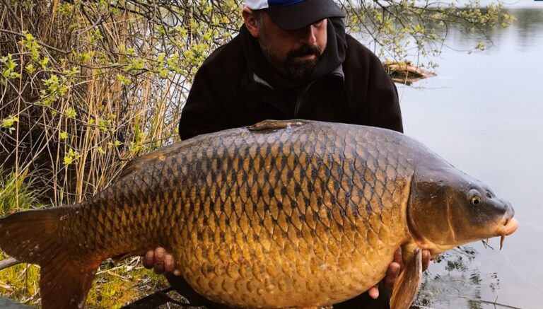 Fishing carp good fly bona fide colorado reports