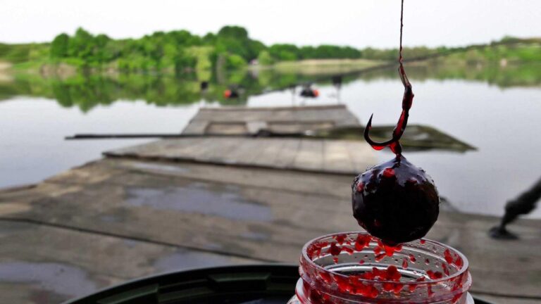 Essen mancing terbaik untuk ikan lele di 2024