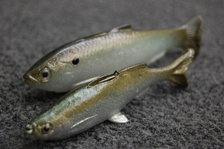 Essen mancing terbaik untuk ikan predator di 2024